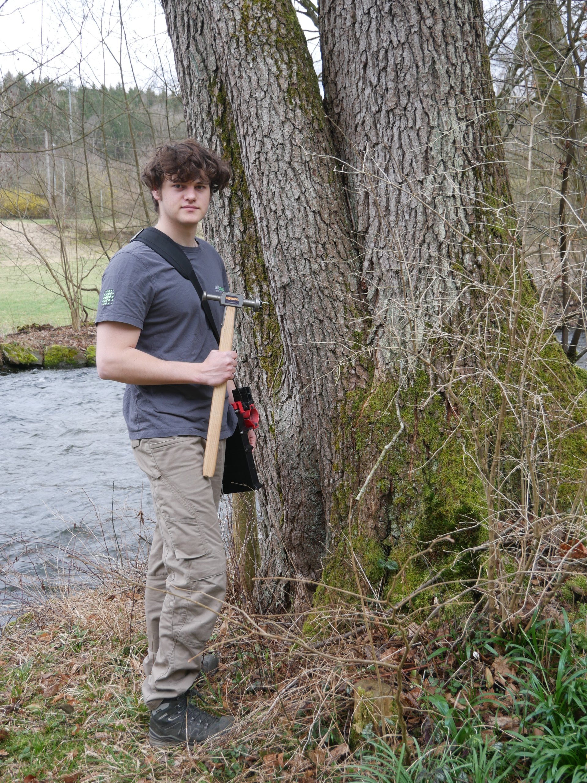 Wir suchen und stellen ein: