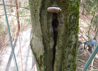 Arten- und naturschutzrechtliche Prüfungen