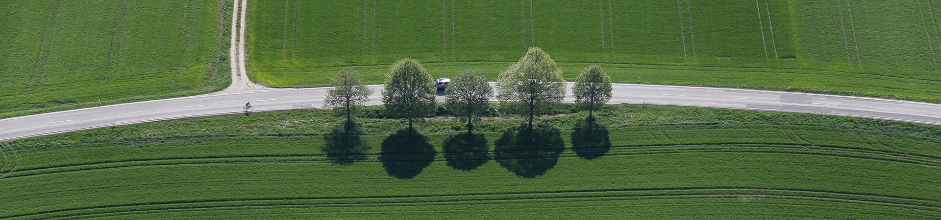 Sommer2