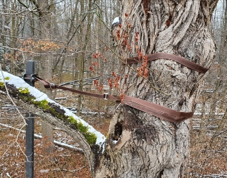 Ökologische Bauplanung