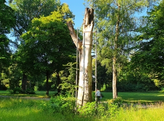 Securing important habitat trees in the long term with carbon exoskeletons