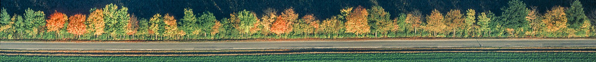 Herbst
