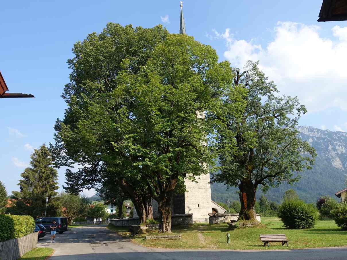 Ökologische Bauplanung