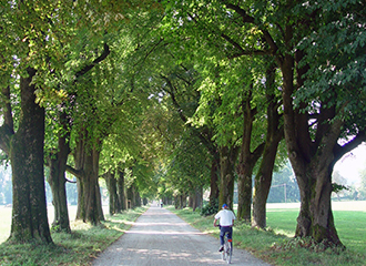 Hellbrunner Allee in Salzburg