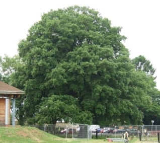 Ökologische Bauplanung